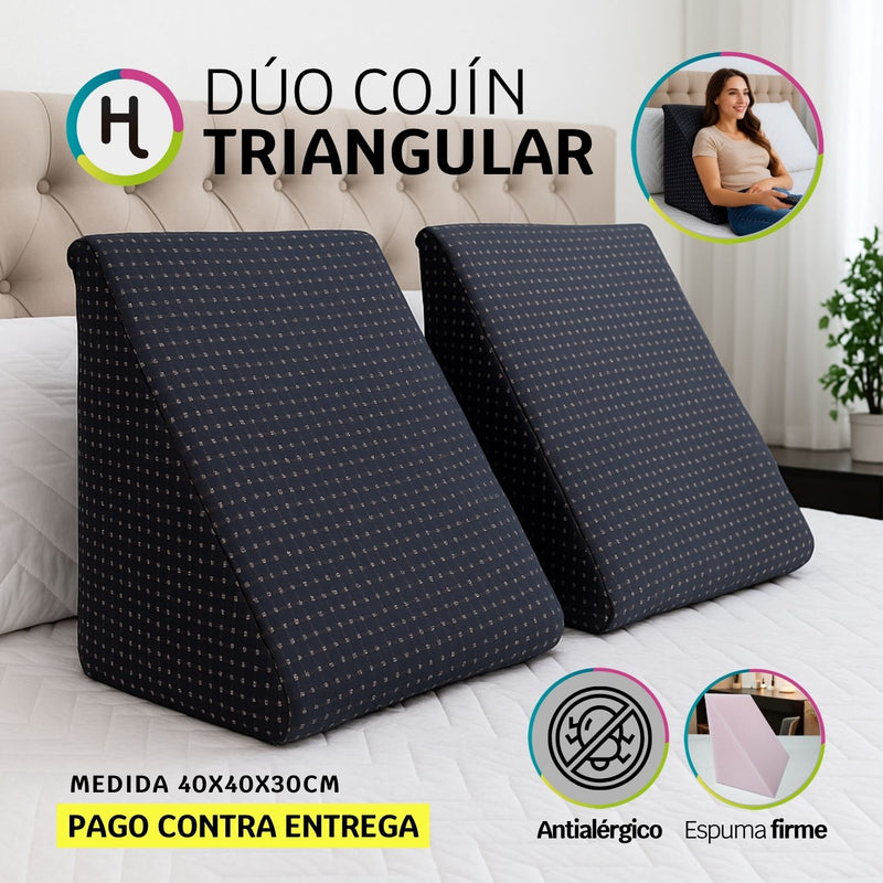 Dúo Cojines de Televisión o Triangular