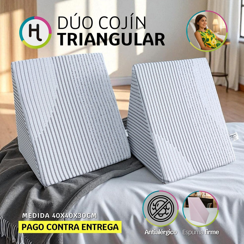 Dúo Cojines de Televisión o Triangular