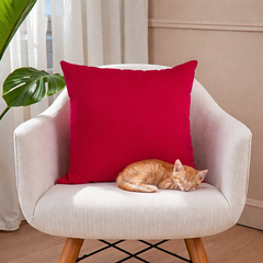 Fundas Decorativas Pet Friendly – Estilo y Resistencia en un solo lugar