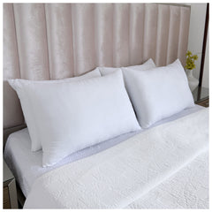 Almohadas EMA 70x50 - Pack Familiar